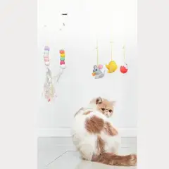 GENERICO - Pack de 5 Juguetes Para Gato De Puerta Colgante