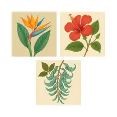 PAPAYA PROJECT - Set Pintura Por Números X3 - Botánica 20x20