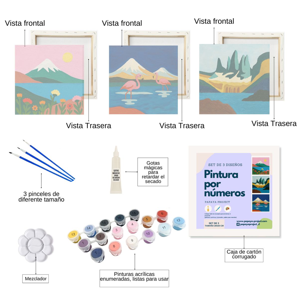 GENERICO - Set Pintura Por Números X3 - Parques Chile II 20x20