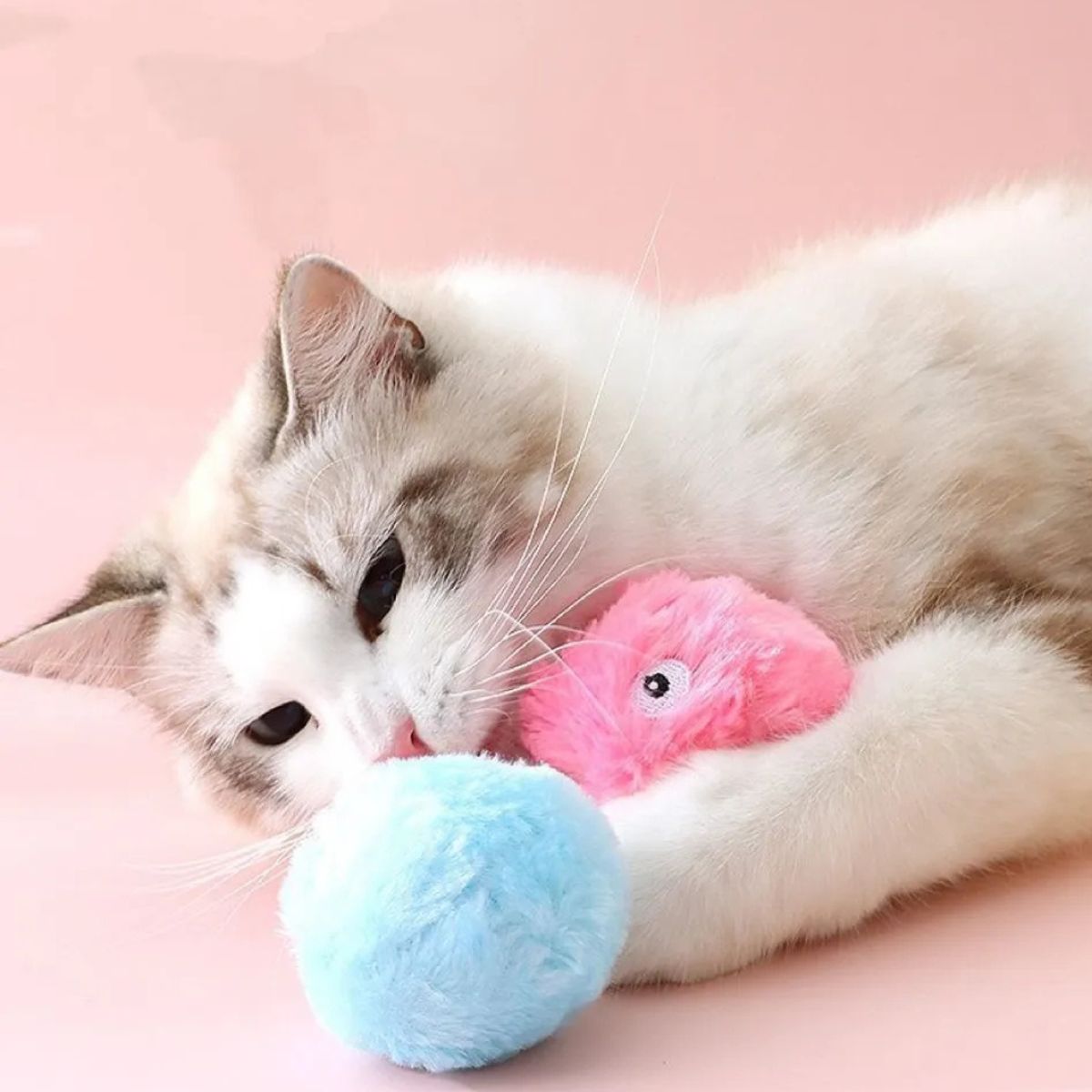 GENERICO - Juguete Para Mascota Con Sonido de Rana Celeste