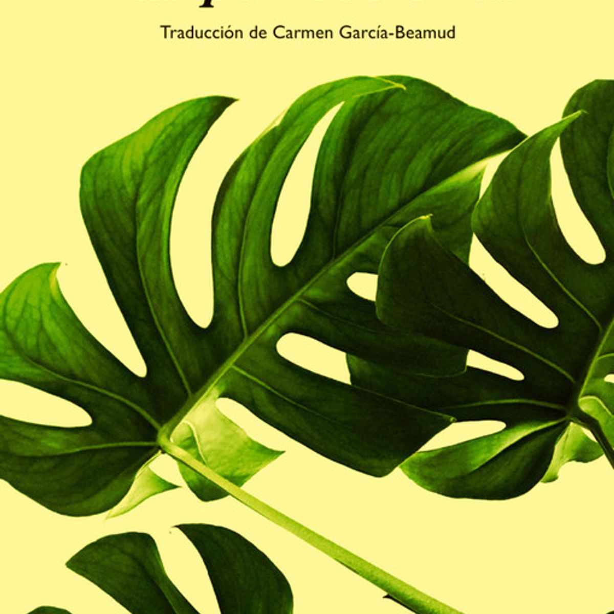 ANAGRAMA - Libro Las perfecciones - VINCENZO LATRONICO