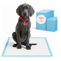 HOMER DESIGN - 40 Sabanillas Perros De Entrenamiento Pañales 60x90Cm