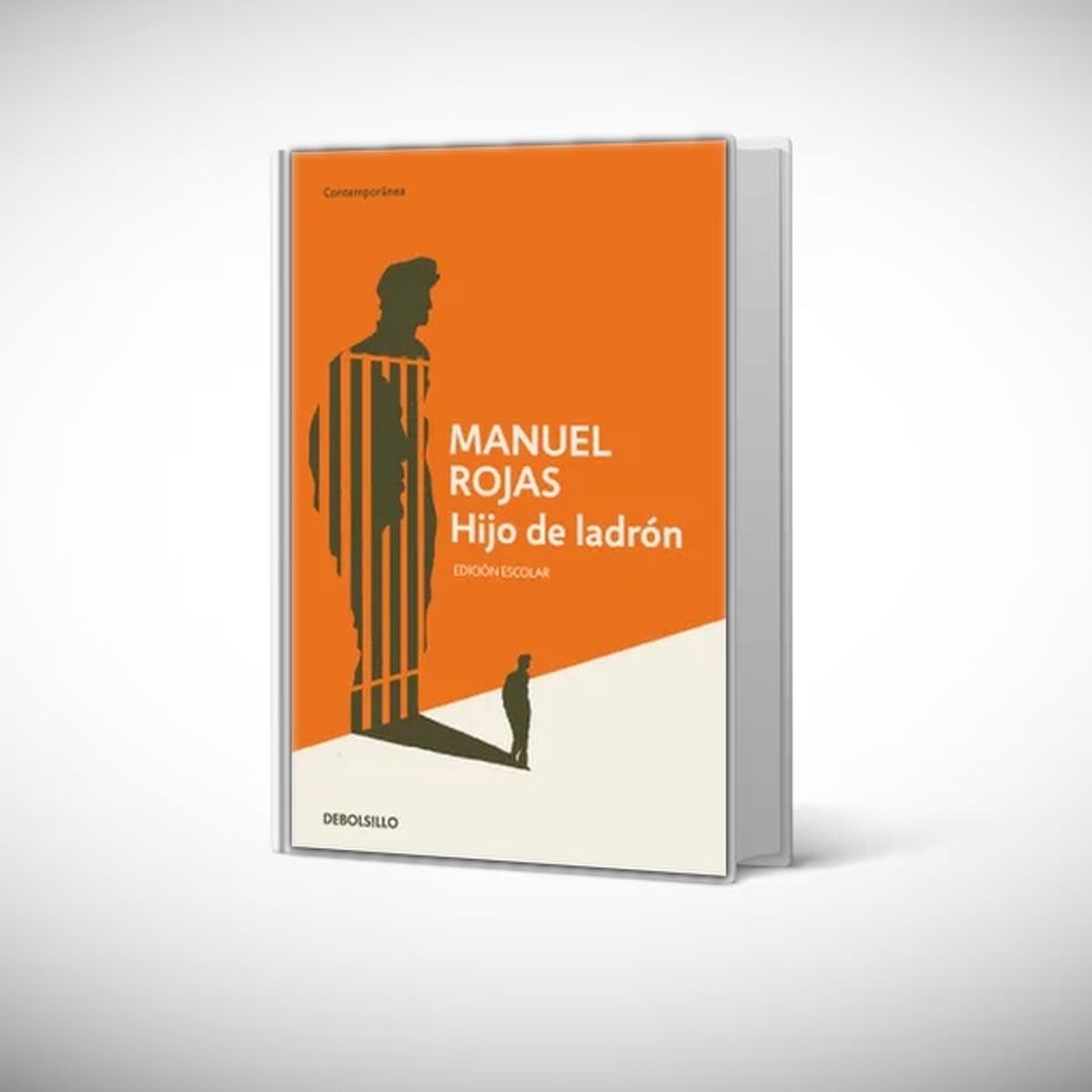 DEBOLSILLO - Libro Hijo de ladrón (edición escolar) - Manuel Rojas