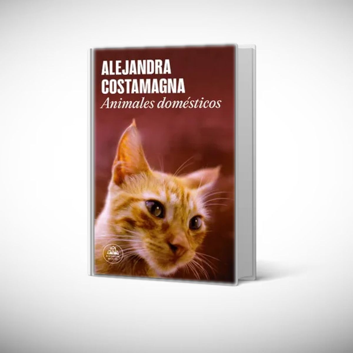 GENERICO - Libro Animales domésticos - Alejandra Costamagna