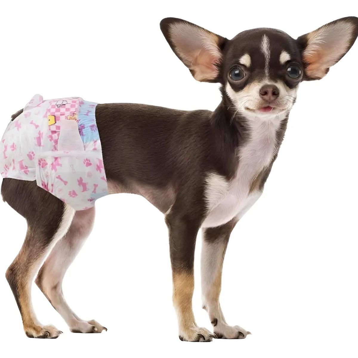 GENERICO - X40 Pañales Para Perros Pañales Para Perro Pañales Gato S