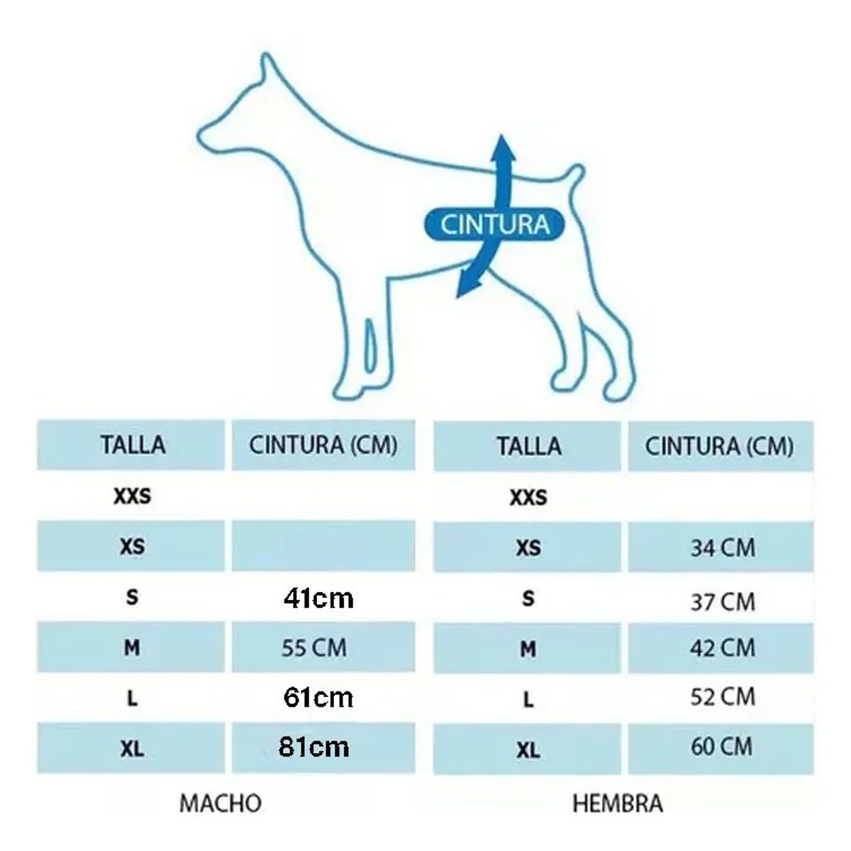 GENERICO - X40 Pañales Para Perros Pañales Para Perro Pañales Gato S