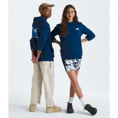 THE NORTH FACE - Poleron Teen Box Nse Pullover Hoodie Niño
