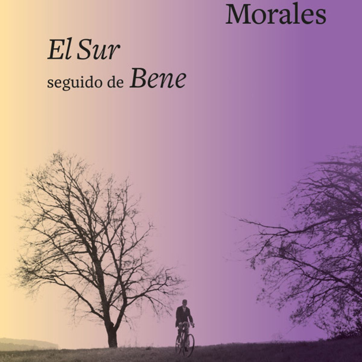 ANAGRAMA - Libro El Sur seguido de Bene - Adelaida García Morales