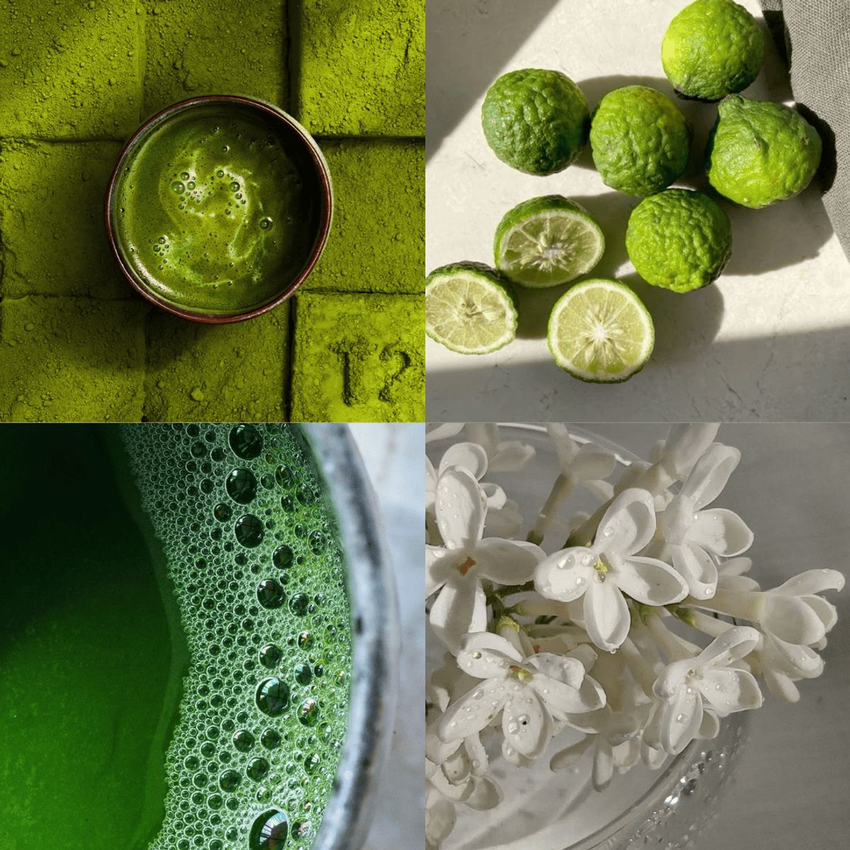 GENERICO - Aromatizante Difusor Varillas Esencia Citrica 150ml - Esencia Azul