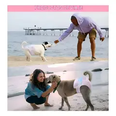 GENERICO - X60 Pañales Para Perros Pañales Para Perro Pañales Gato M