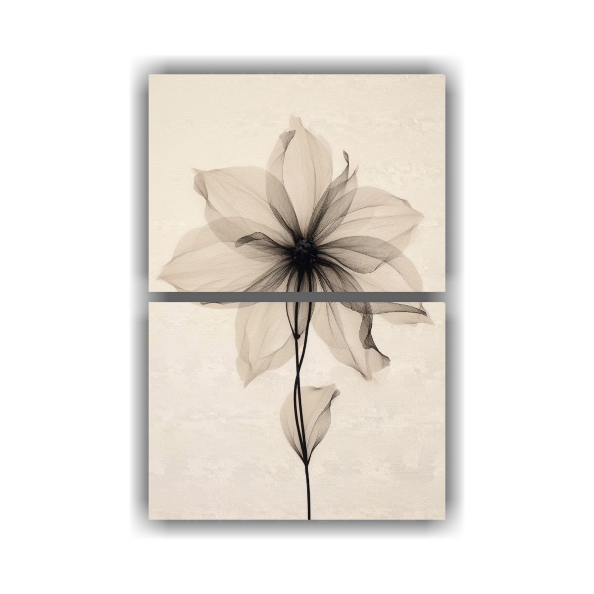 GENERICO - Lienzos Cuadro Figuras Gris Y Negro Flores De 45x60 Cm