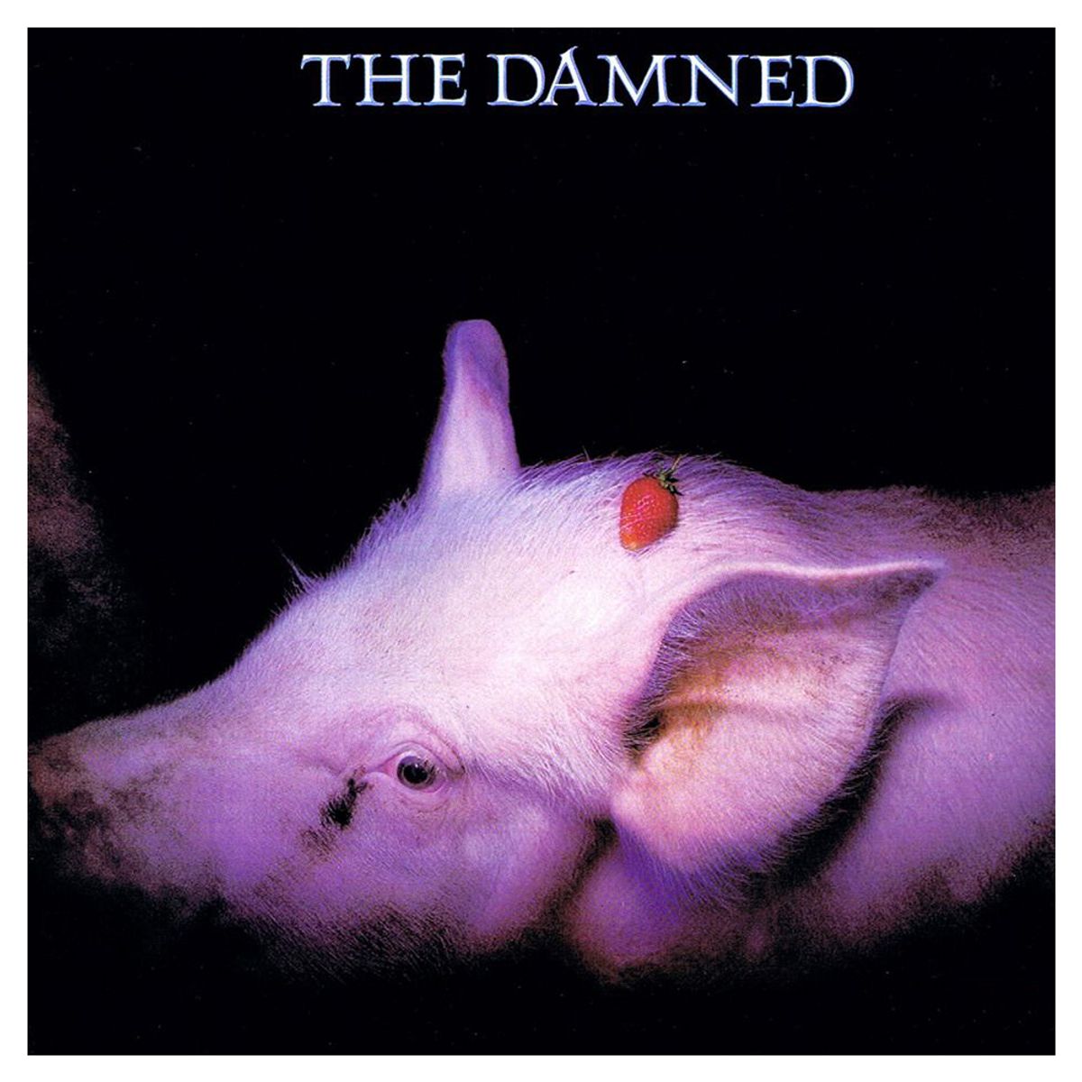 SANCTUARY - The Damned -Strawberries- Vinilo