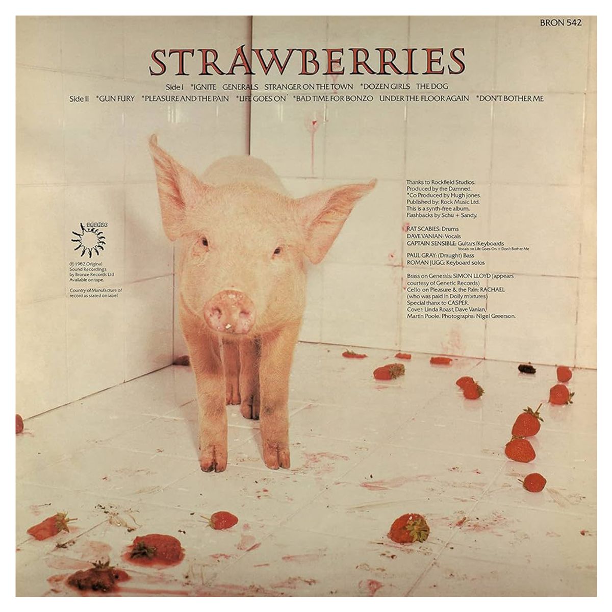 SANCTUARY - The Damned -Strawberries- Vinilo