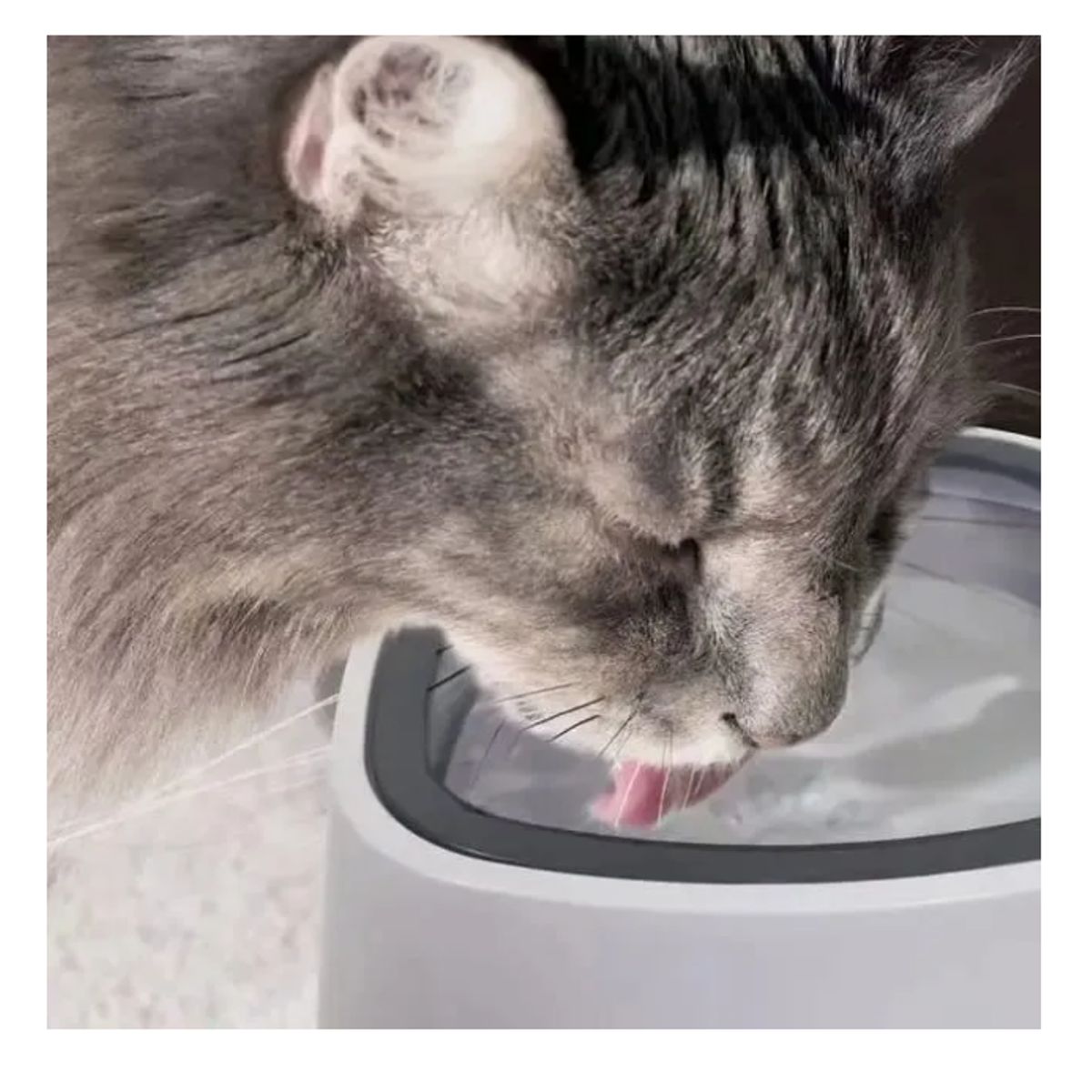 GENERICO - Tazon Bebedero De Agua Antiderrame Para Mascotas Perro Gato Color Blanco