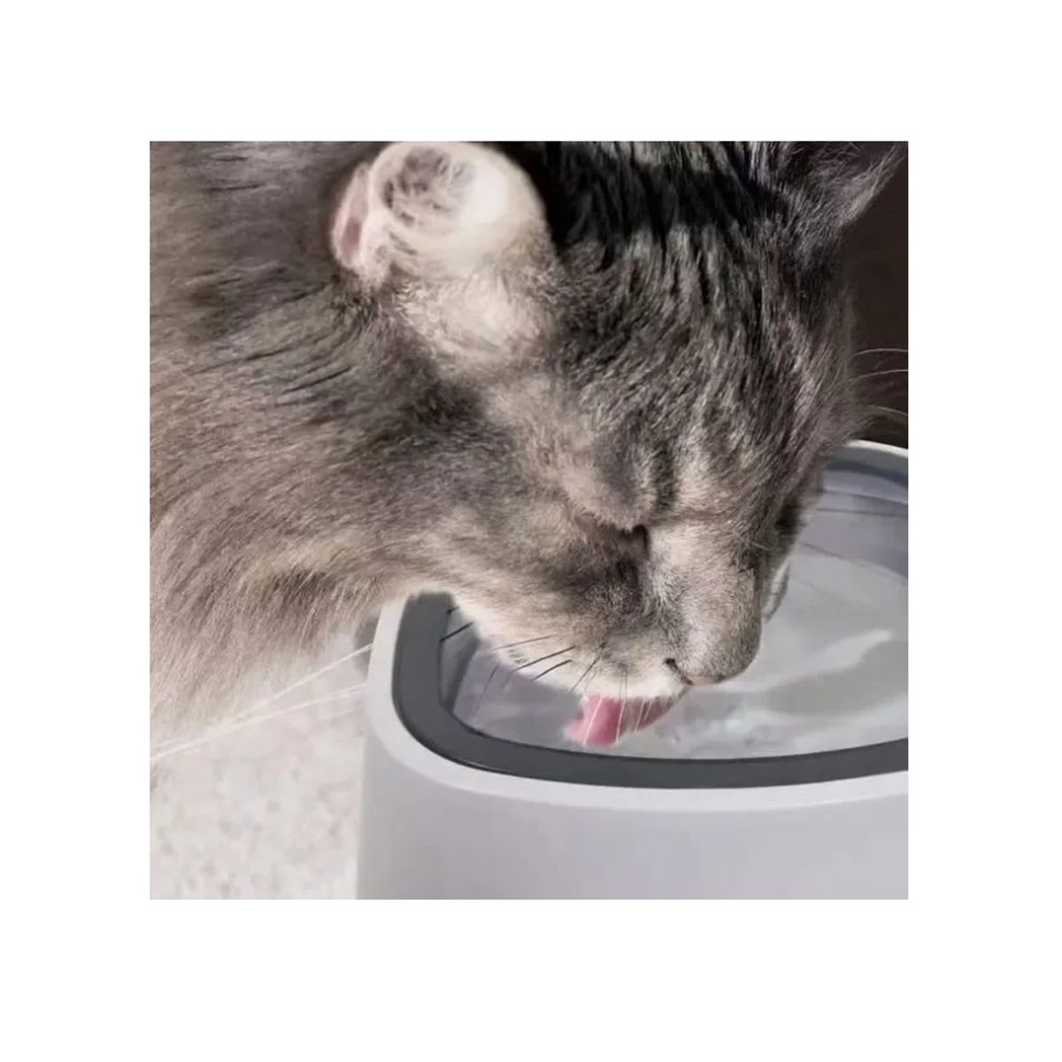 GENERICO - Tazon Bebedero De Agua Antiderrame Para Mascotas Perro Gato Color Blanco