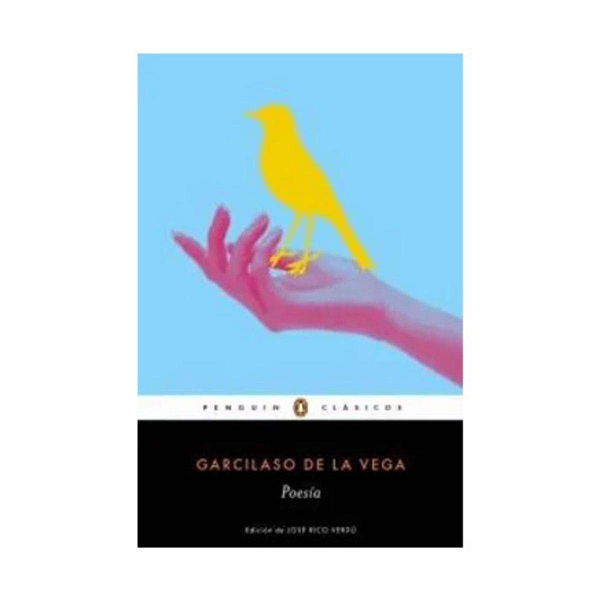 TOP10BOOKS - LIBRO Poesías - Poesías