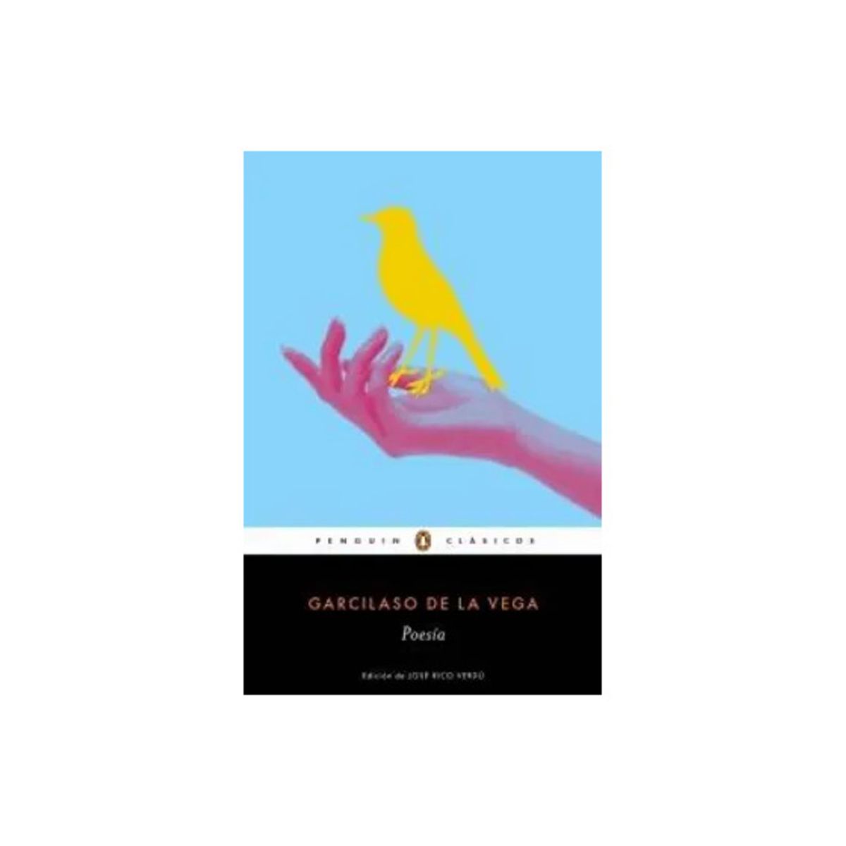 TOP10BOOKS - LIBRO Poesías - Poesías