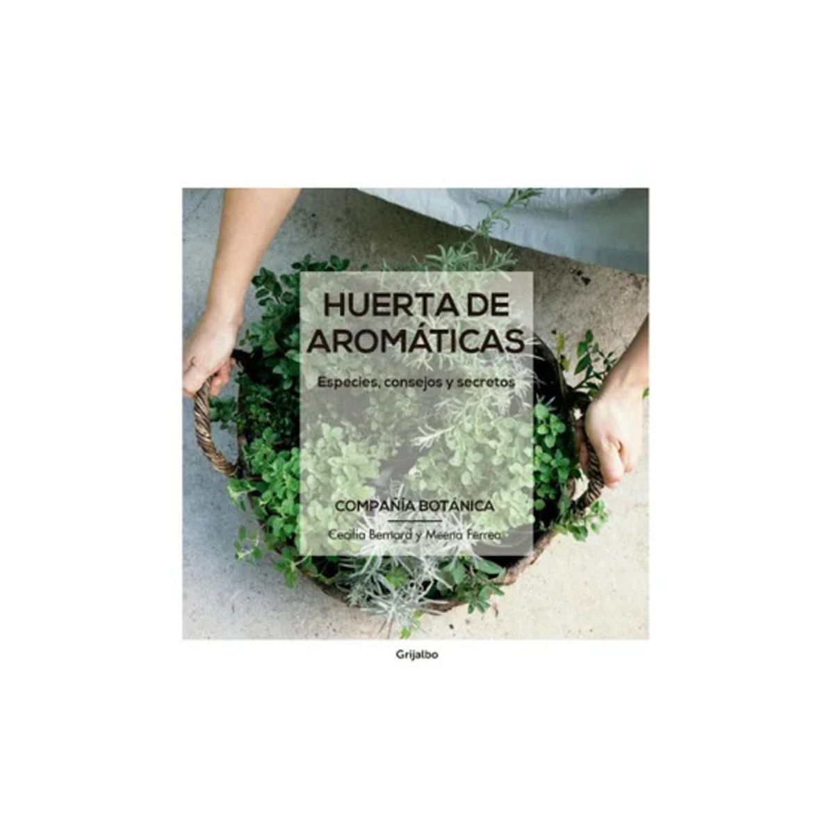 TOP10BOOKS - LIBRO Huerta De Aromáticas - Huerta De Aromáticas