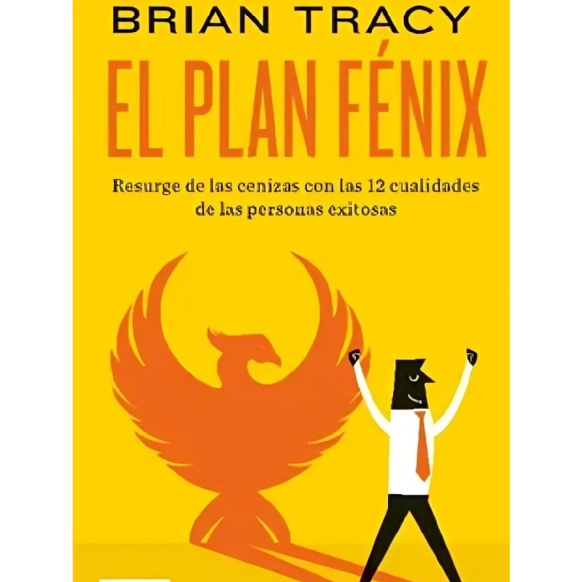 TOP10BOOKS - LIBRO El Plan Fénix - El Plan Fénix