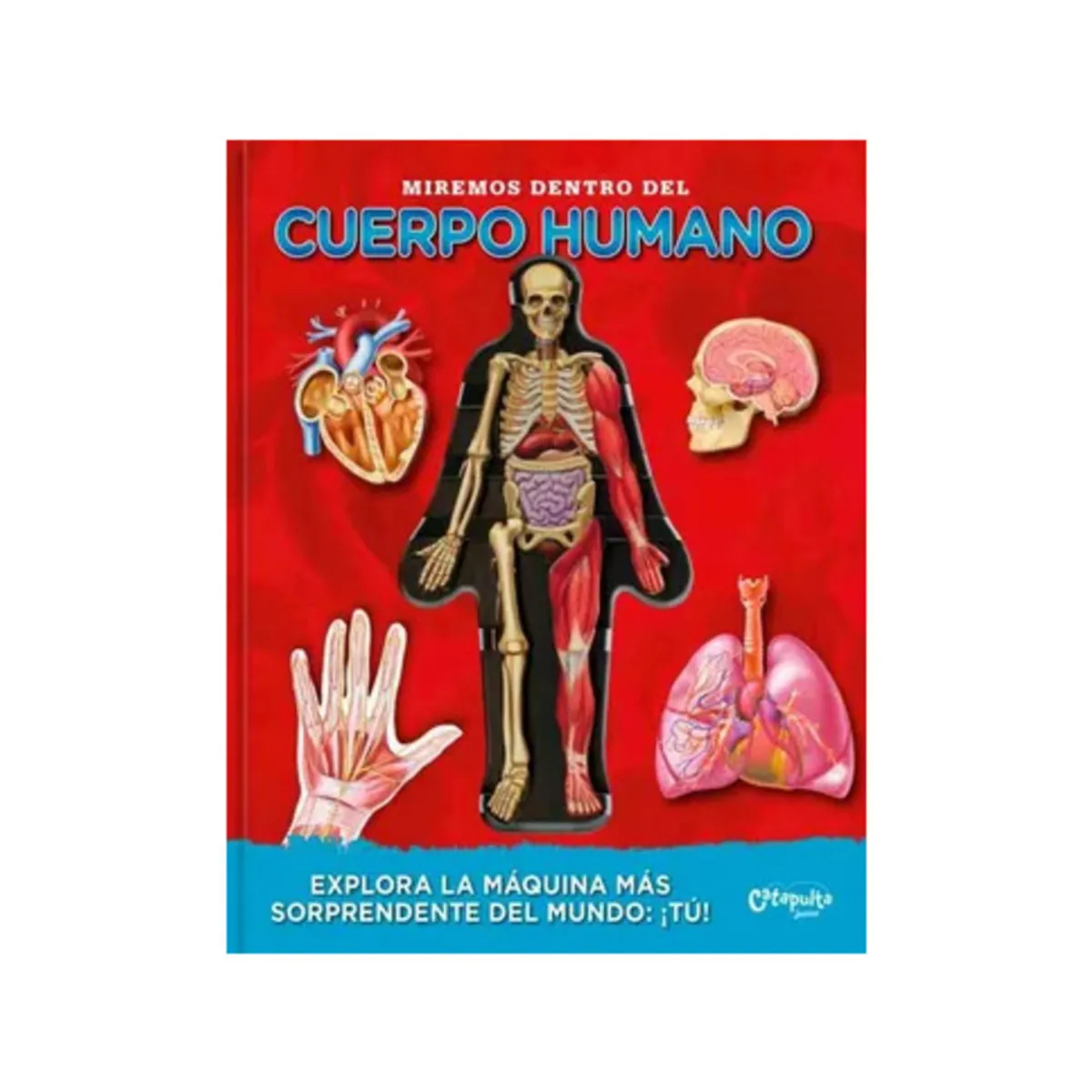 TOP10BOOKS - LIBRO Miremos Dentro Del Cuerpo Humano - Miremos Dentro Del Cuerpo Humano