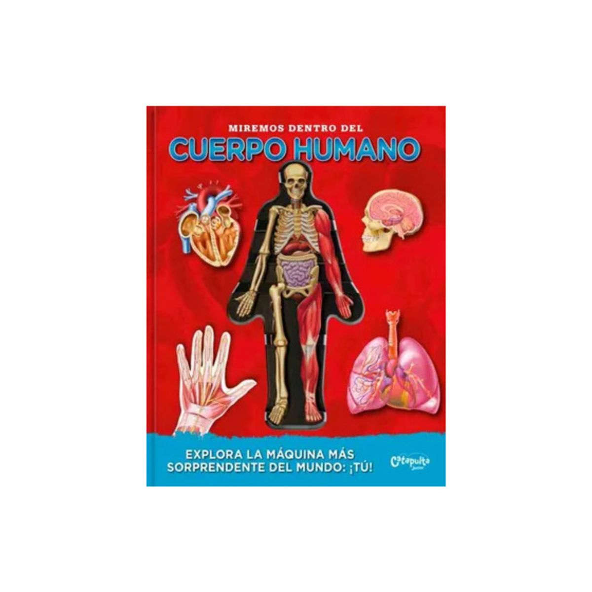TOP10BOOKS - LIBRO Miremos Dentro Del Cuerpo Humano - Miremos Dentro Del Cuerpo Humano