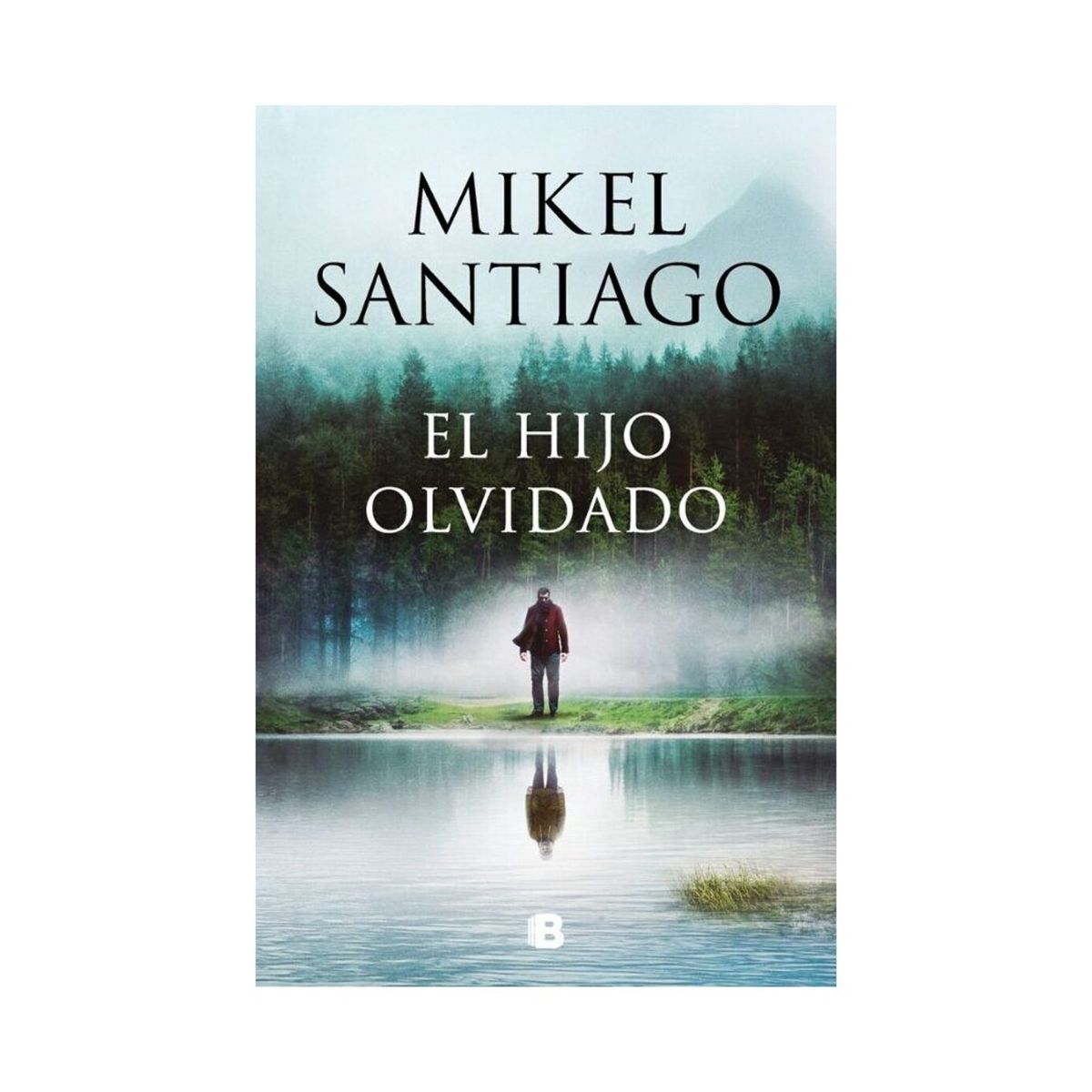 TOP10BOOKS - LIBRO El Hijo Olvidado - El Hijo Olvidado