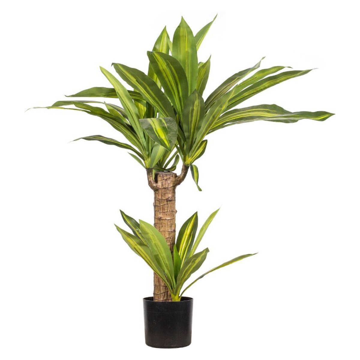 THE GARDEN - Palo De Agua 80 Cm