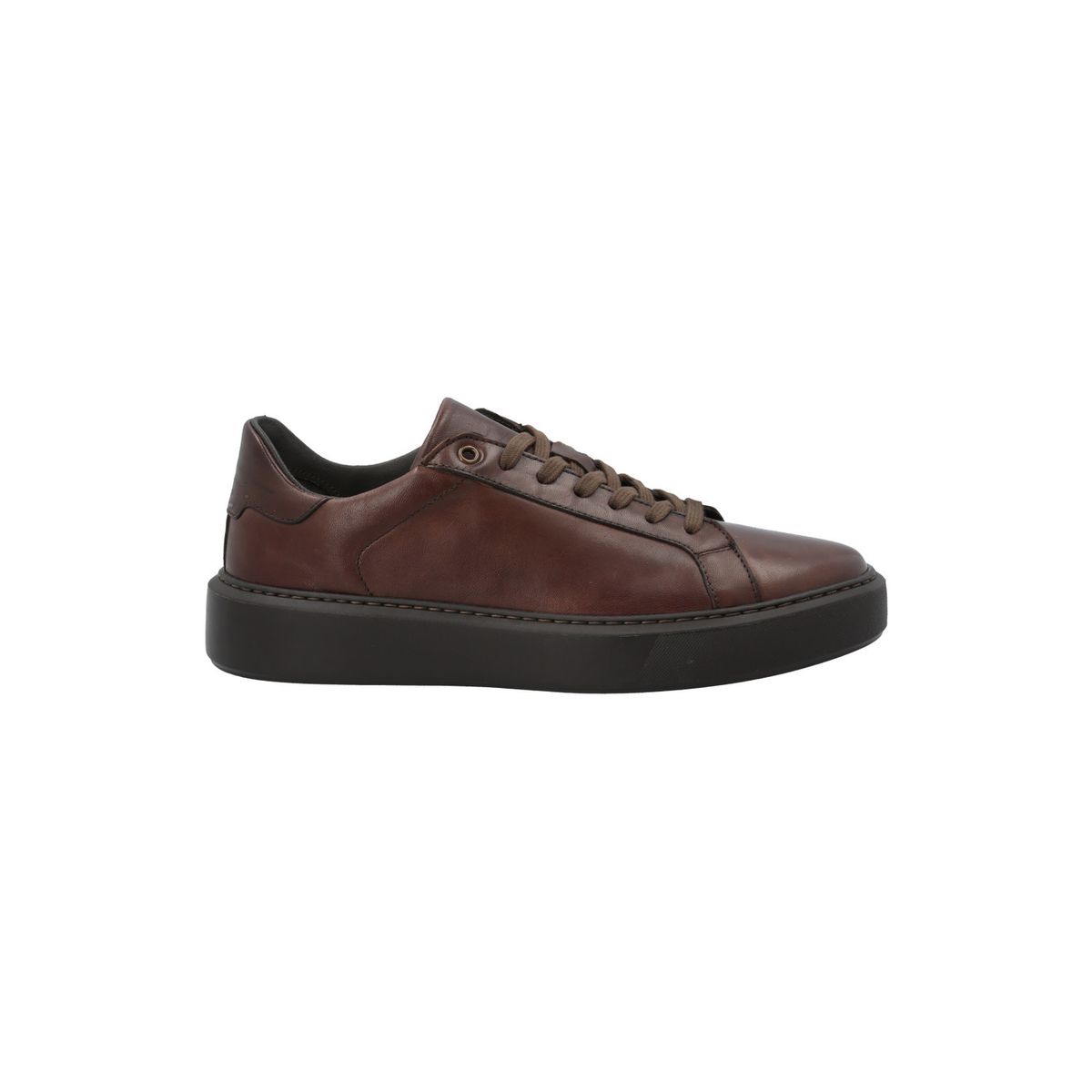 ROCKFORD - Zapatilla Cuero Hombre Volturno Café ROCKFORD