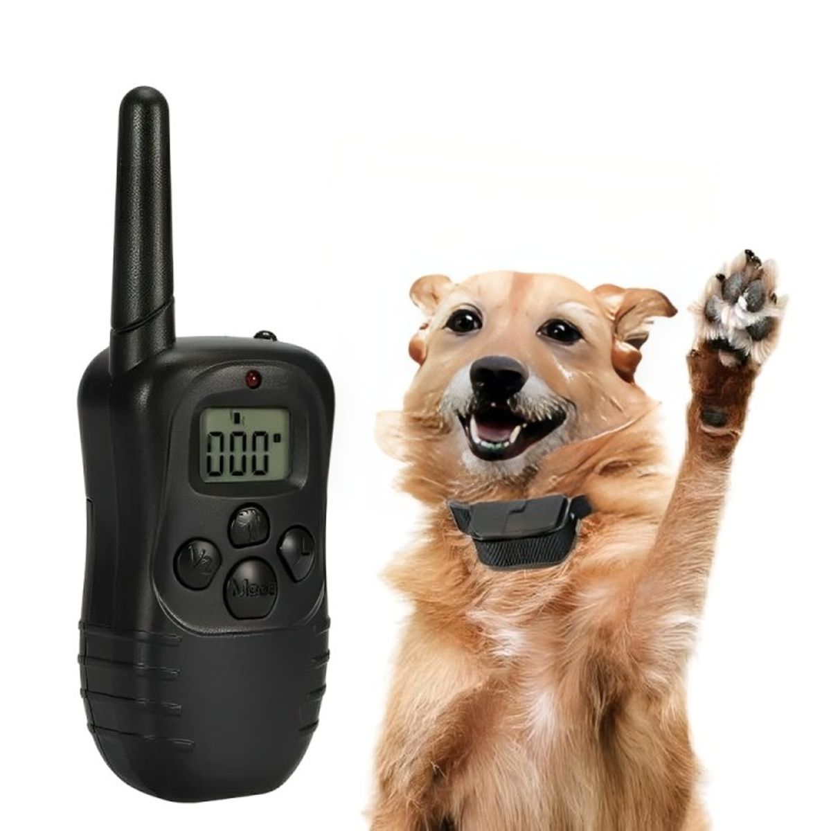 GENERICO - Set Collar Eléctrico Entrenamiento Para Adiestramiento Perro