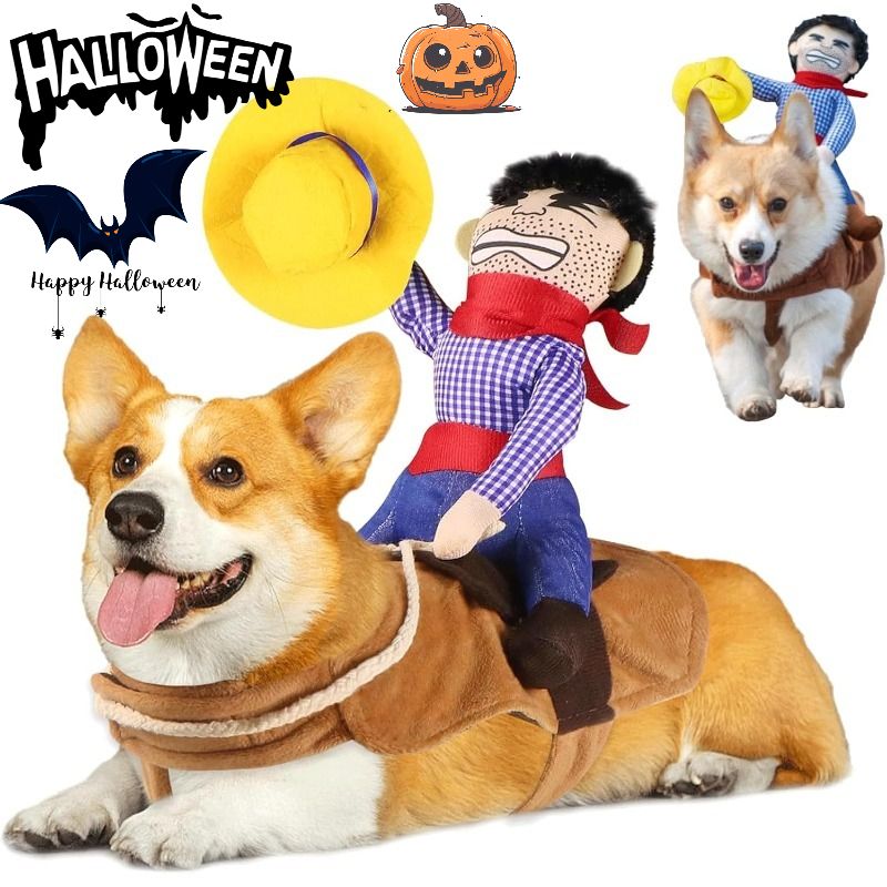 DANWEILE - Disfraz divertido para Perro Halloween - Vaquero Cabalgando - Talla XL