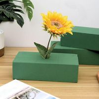 Espuma floral para arreglos naturales