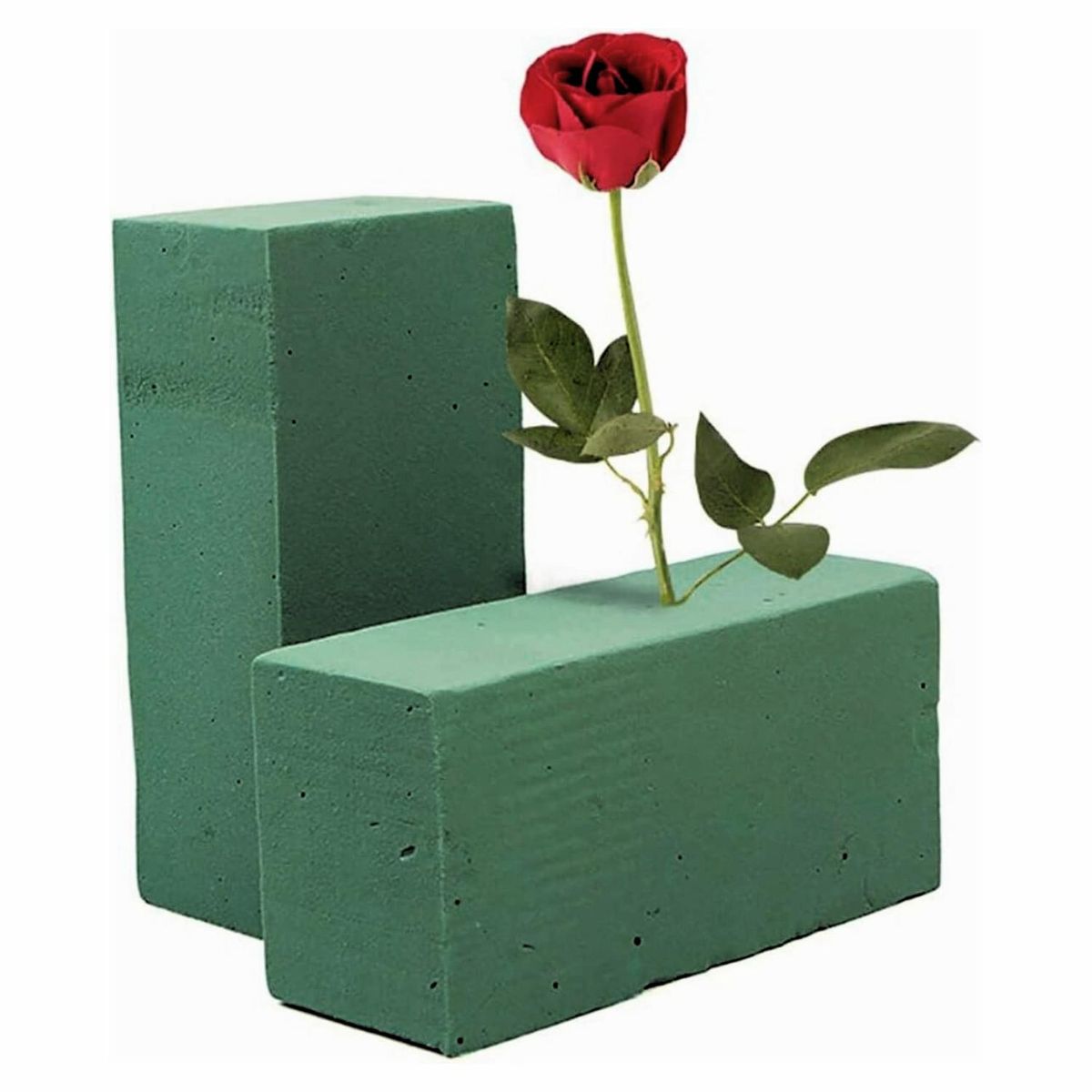 HOME ESSENTIALS - Espuma floral para arreglos naturales