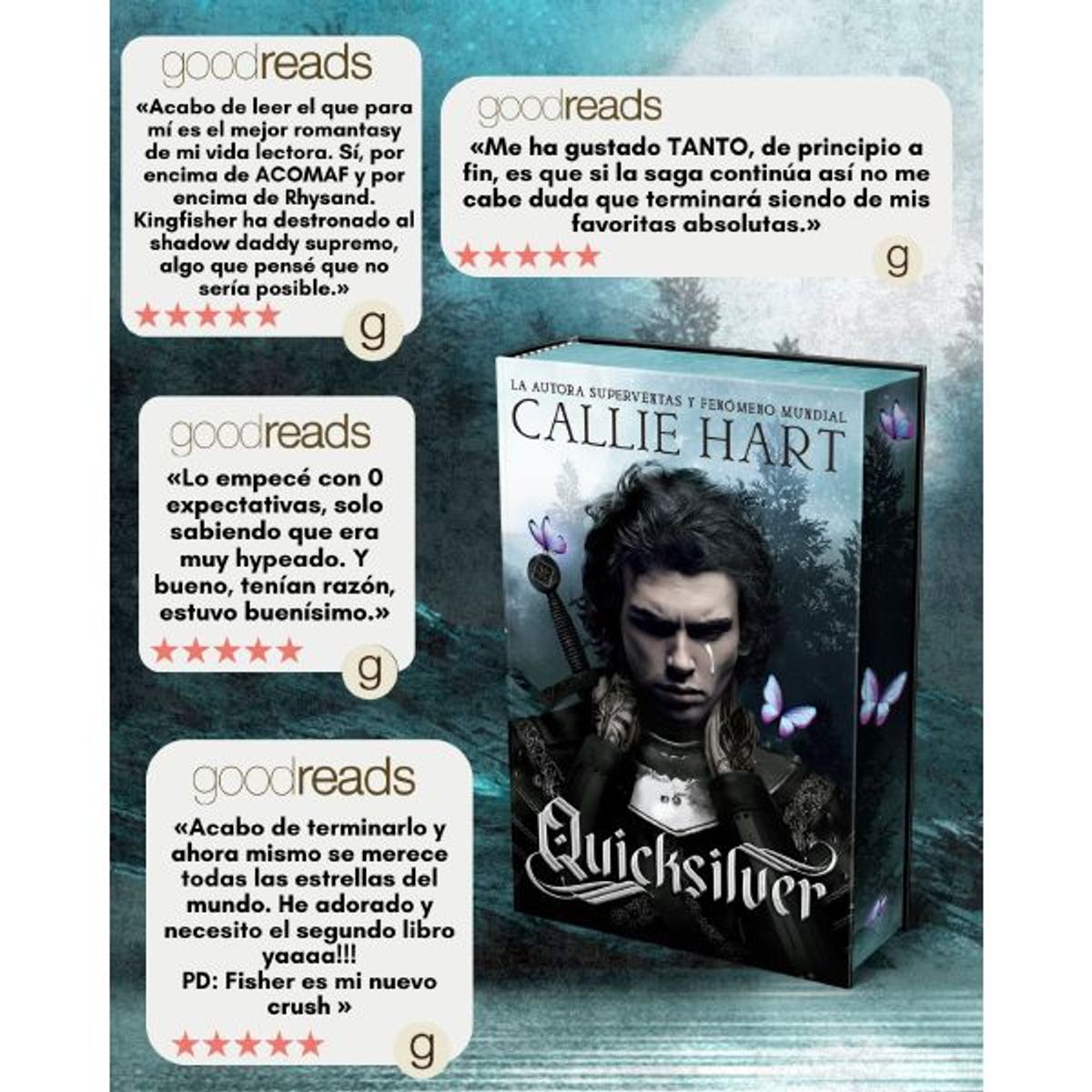 ANAYA - Libro QUICKSILVER