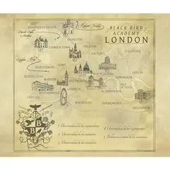 ALMA - Libro TEMOR A LA LUZ - BLACK BIRD ACADEMY