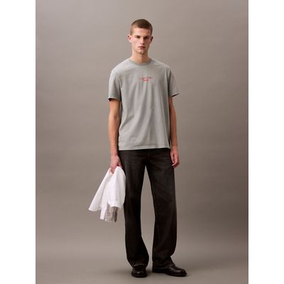 Imagen 2 del producto Polera Acid Wash Graphic Gris