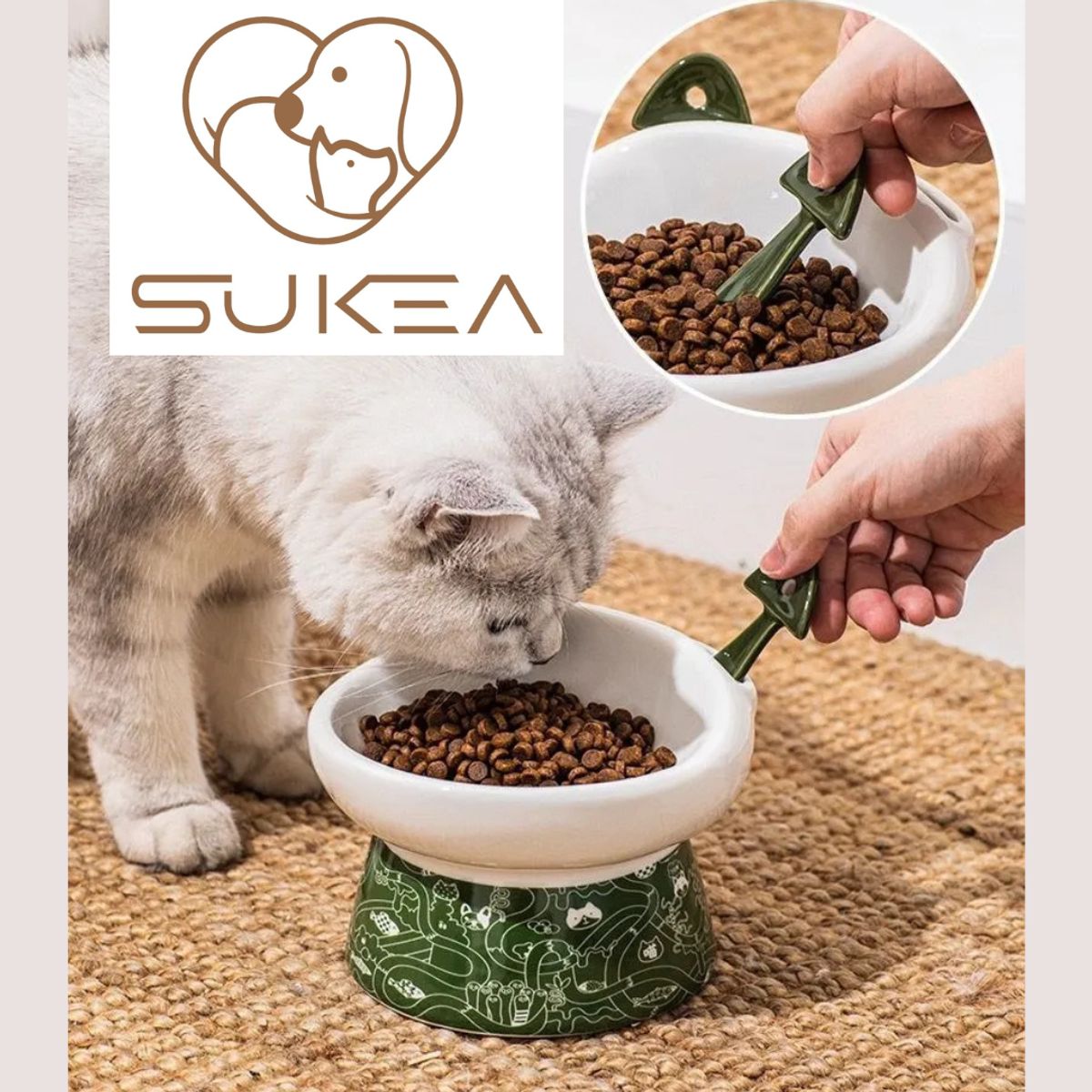 GENERICO - Plato Ceramica Orejas Tipo Cuchara Para Mascotas Verde