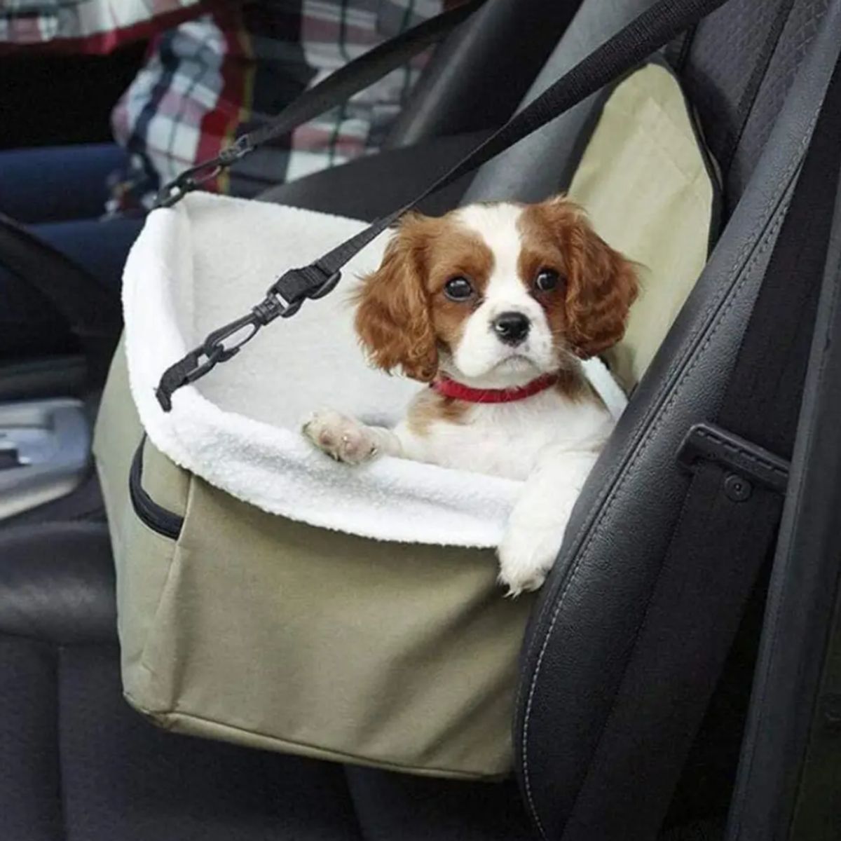 MOVI - Asiento de auto para mascotas