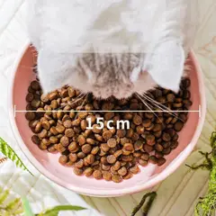 GENERICO - Plato Ceramica Diseñado Flores Para Mascotas Amarillo