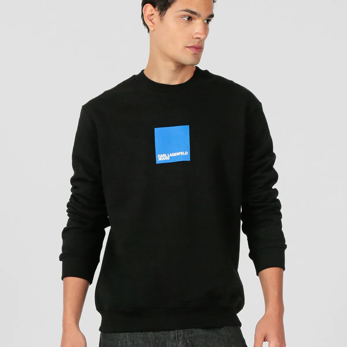 KARL LAGERFELD - Polerón regular con logo en caja