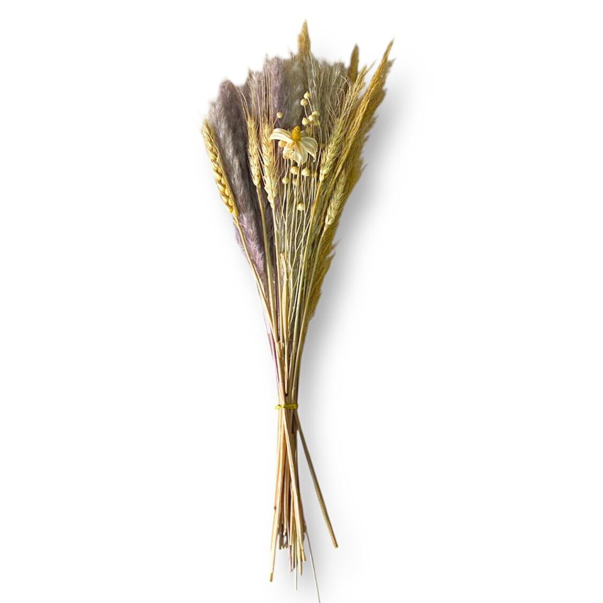 GENERICO - Ramo De Flores Secas Naturales Boho Mixtas