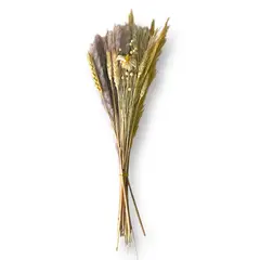 GENERICO - Ramo De Flores Secas Naturales Boho Mixtas