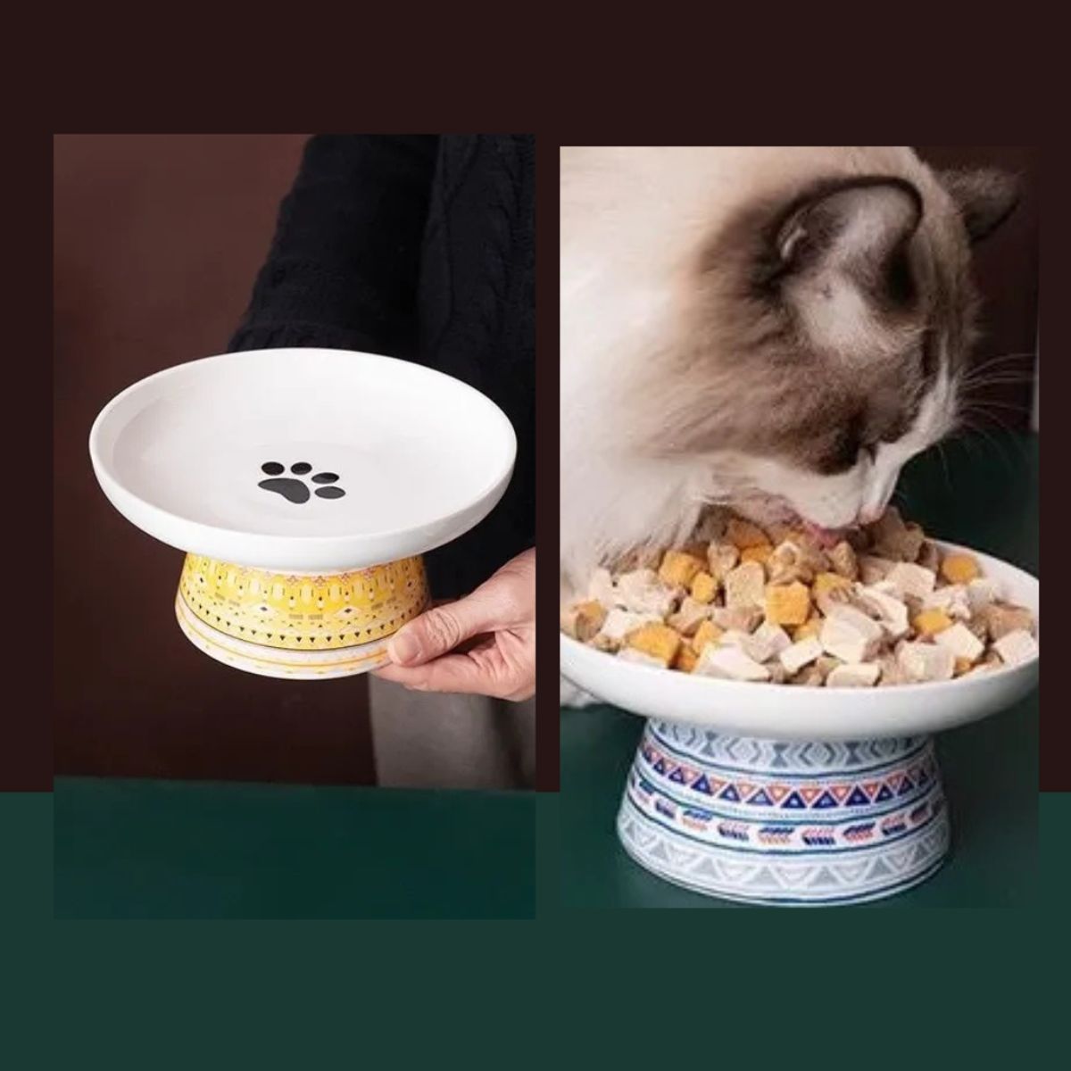 GENERICO - Plato Alto de Ceramica Estampado Bohemia Para Mascotas