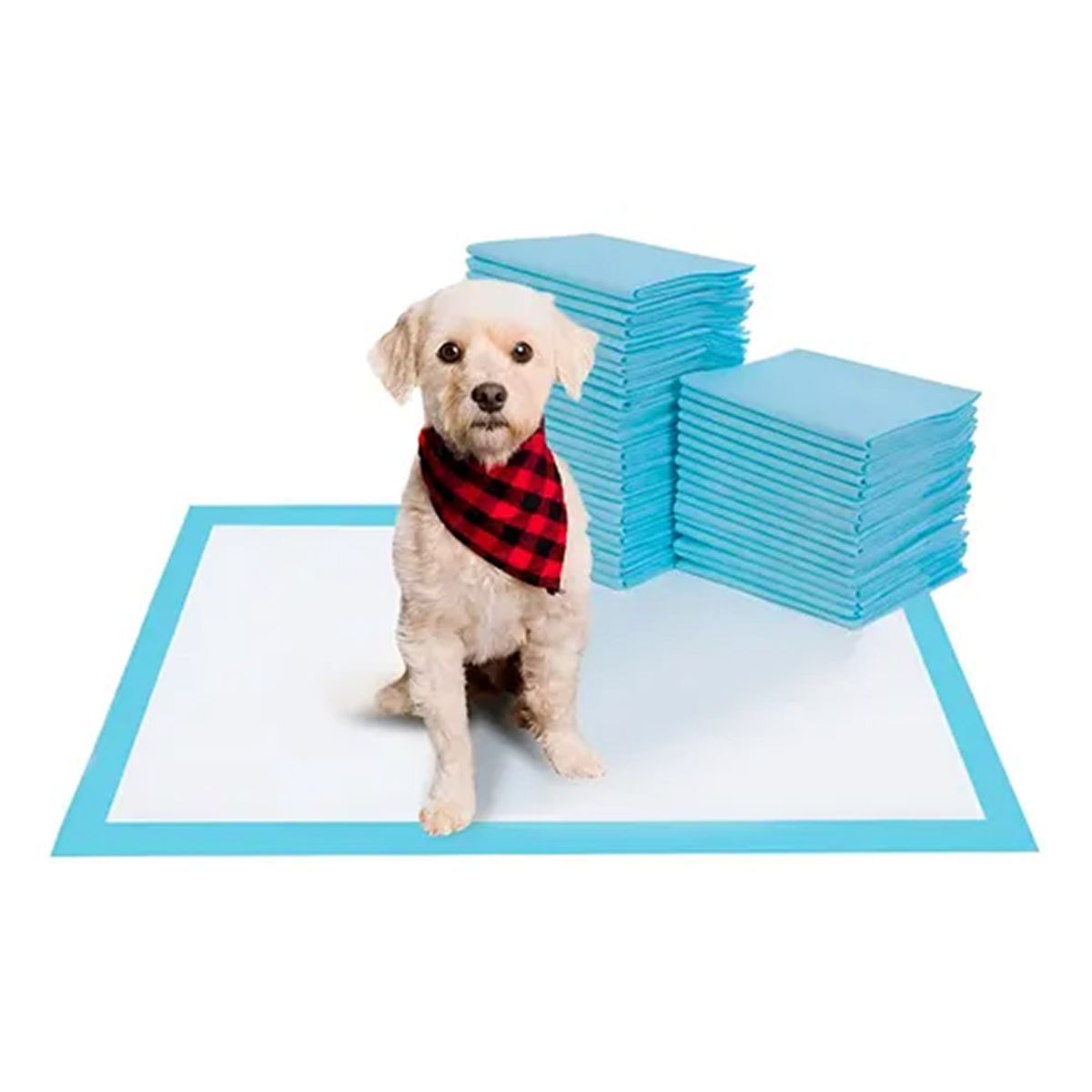OFERTABKN - 40 Pañales Tipo Sabanillas Mascotas Perros Gatos 60x60