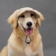 GENERICO - Gorro Protecció Solar Y Ajustable Sombrero Para Perro L