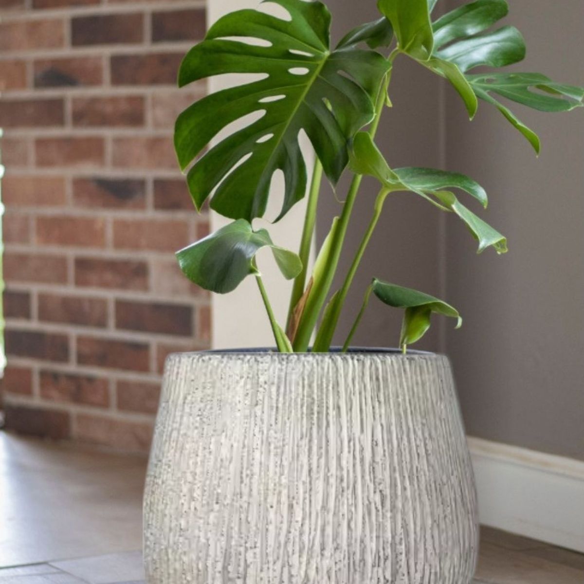 GENERICO - MACETERO ARENA 52x45cm XL