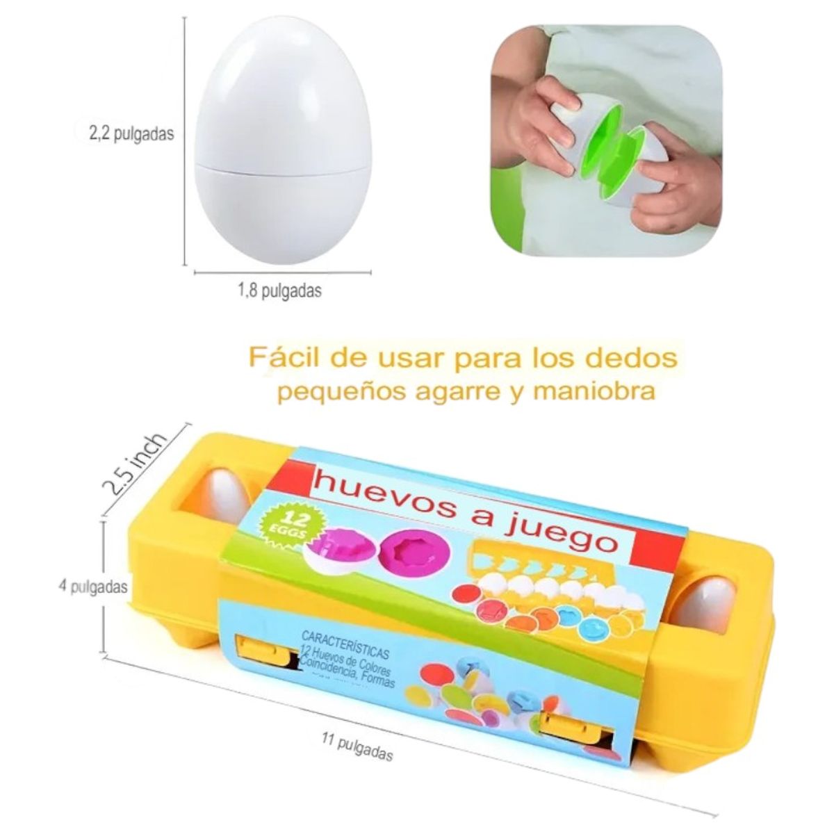 GENERICO - 12 Huevos Didácticos de Clasificación Juguete Educativo Infantil