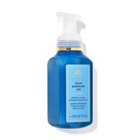 Jabón Espumoso Crisp Morning Air