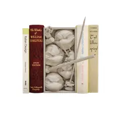 GENERICO - Rincón de Libros - Tortugas Ninjas