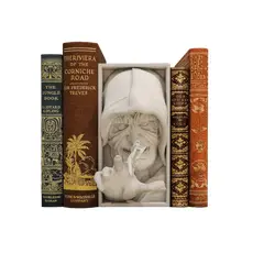 GENERICO - Rincón De Libros - Emperador Palpatine