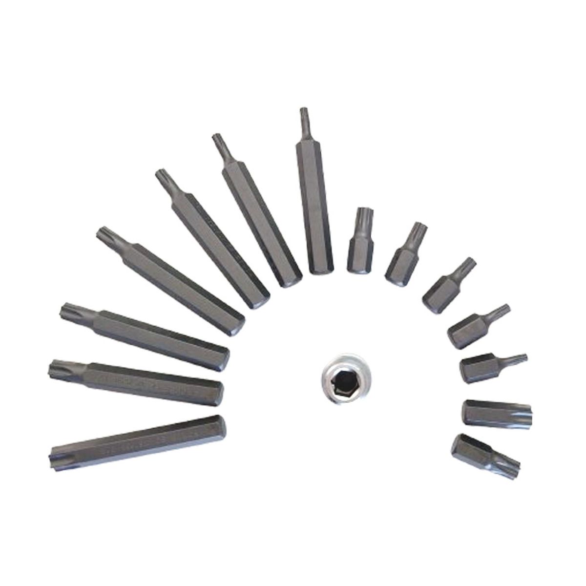 FORCE - Juego de Puntas Torx - T20 a T55 - 15 Piezas